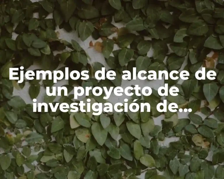 Ejemplos de alcance de un proyecto de investigación de mercado
