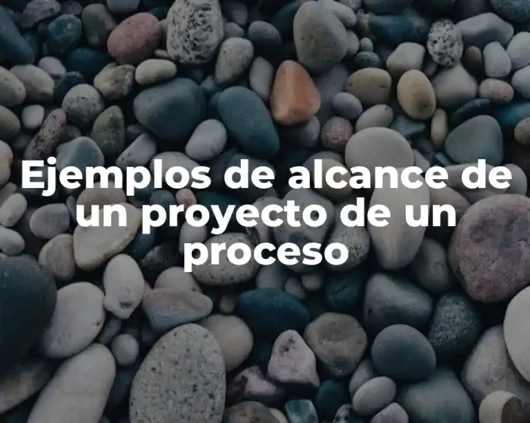 Ejemplos de alcance de un proyecto de un proceso