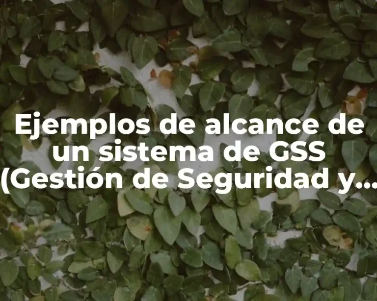 Ejemplos de alcance de un sistema de GSS (Gestión de Seguridad y Salud en