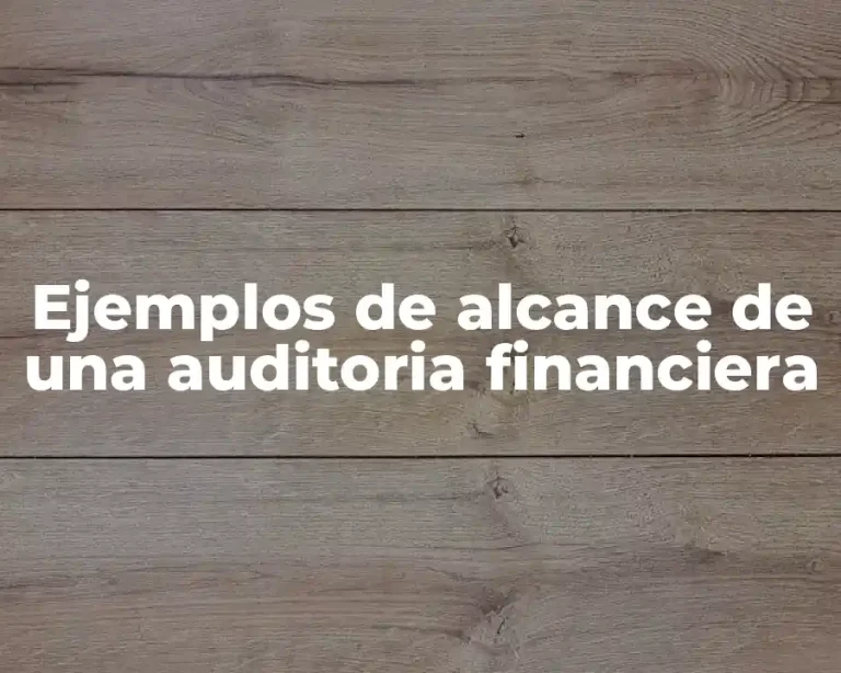Ejemplos de alcance de una auditoria financiera