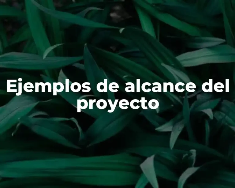 Ejemplos de alcance del proyecto
