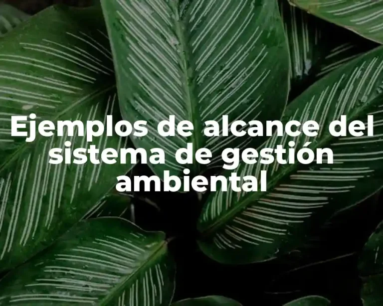 Ejemplos de alcance del sistema de gestión ambiental