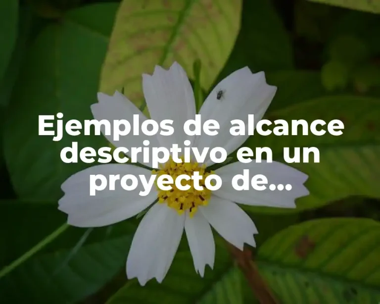 Ejemplos de alcance descriptivo en un proyecto de investigación