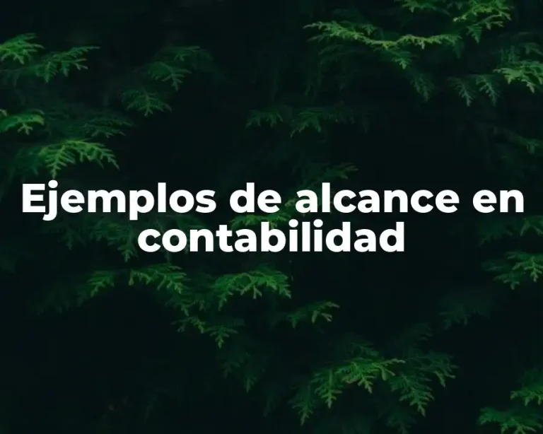 Ejemplos de alcance en contabilidad