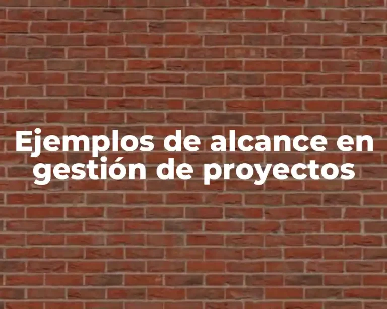 Ejemplos de alcance en gestión de proyectos