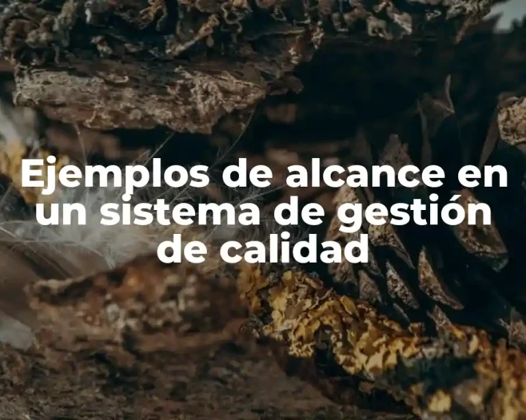 Ejemplos de alcance en un sistema de gestión de calidad
