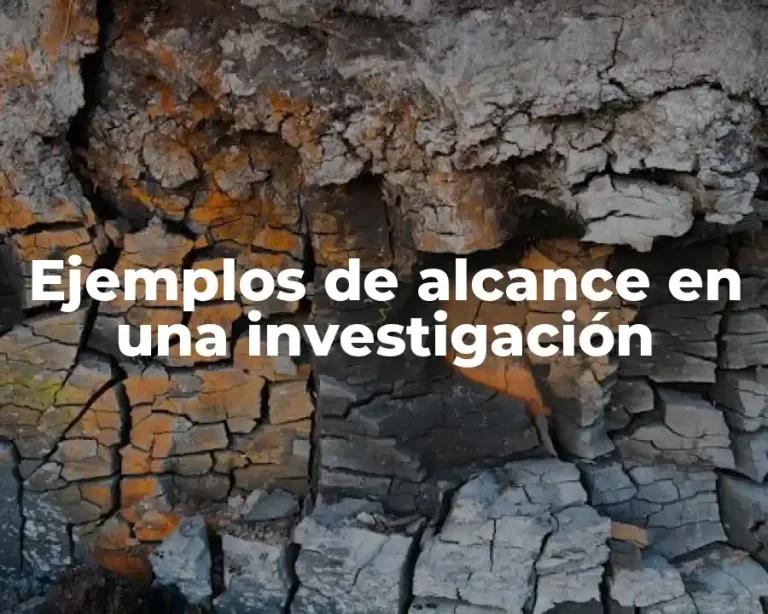 Ejemplos de alcance en una investigación
