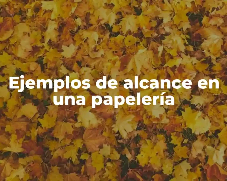 Ejemplos de alcance en una papelería