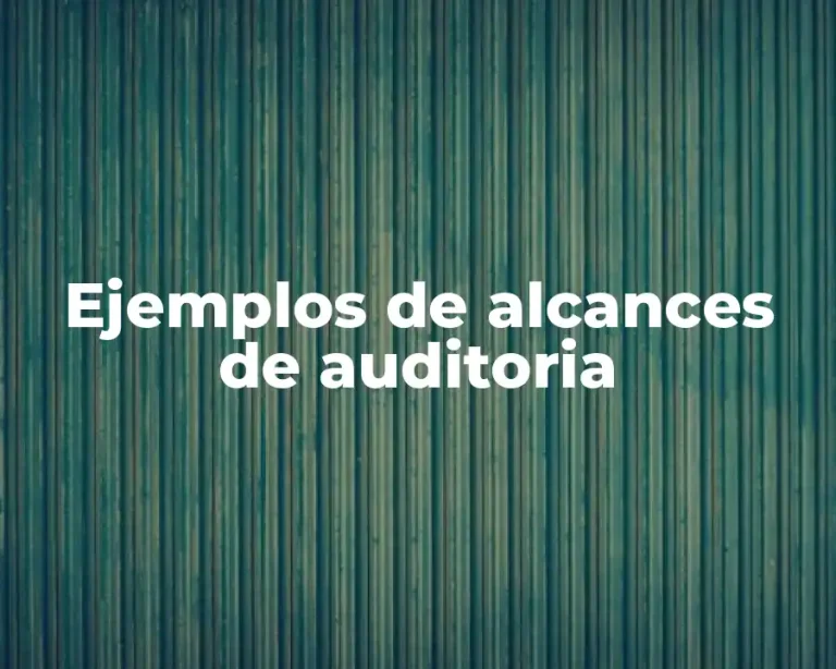 Ejemplos de alcances de auditoria