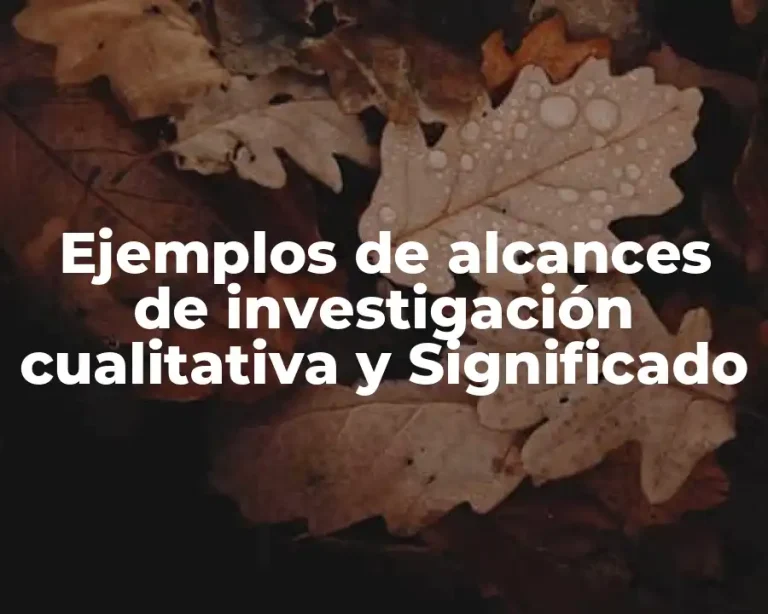 Ejemplos de alcances de investigación cualitativa y Significado