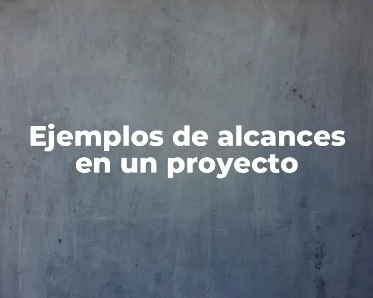 Ejemplos de alcances en un proyecto