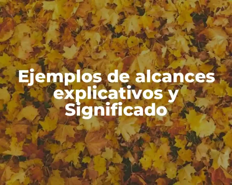 Ejemplos de alcances explicativos y Significado