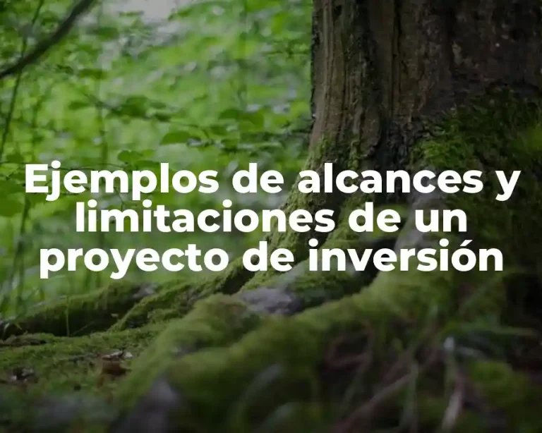 Ejemplos de alcances y limitaciones de un proyecto de inversión