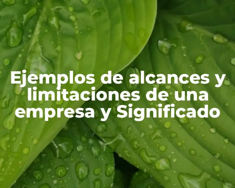 Ejemplos de alcances y limitaciones de una empresa y Significado