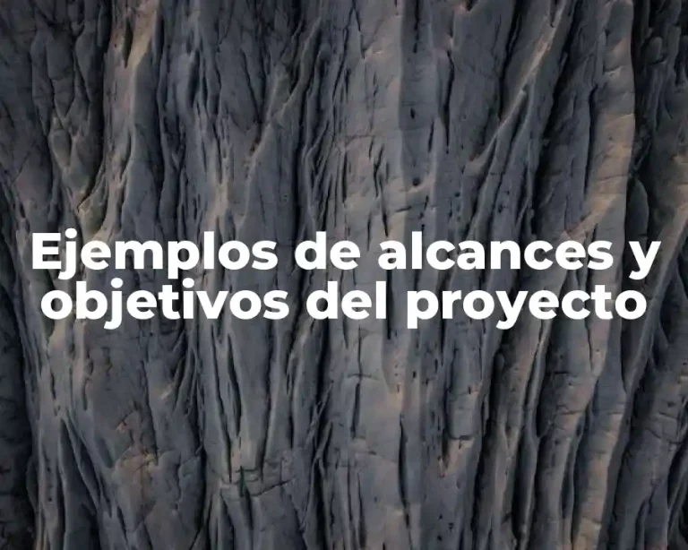 Ejemplos de alcances y objetivos del proyecto