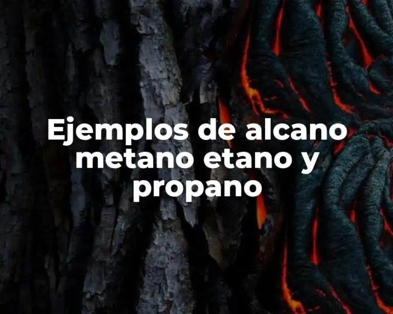 Ejemplos de alcano metano etano y propano