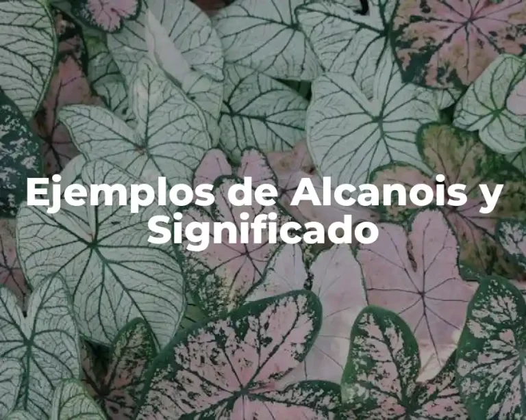 Ejemplos de Alcanois y Significado