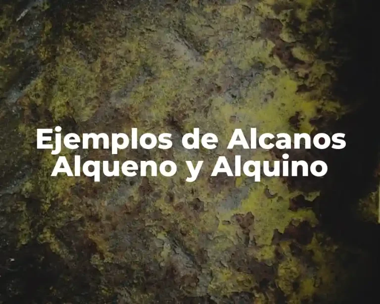 Ejemplos de Alcanos Alqueno y Alquino