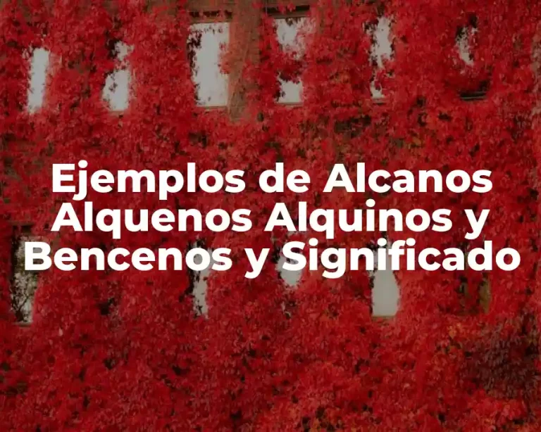 Ejemplos de Alcanos Alquenos Alquinos y Bencenos y Significado
