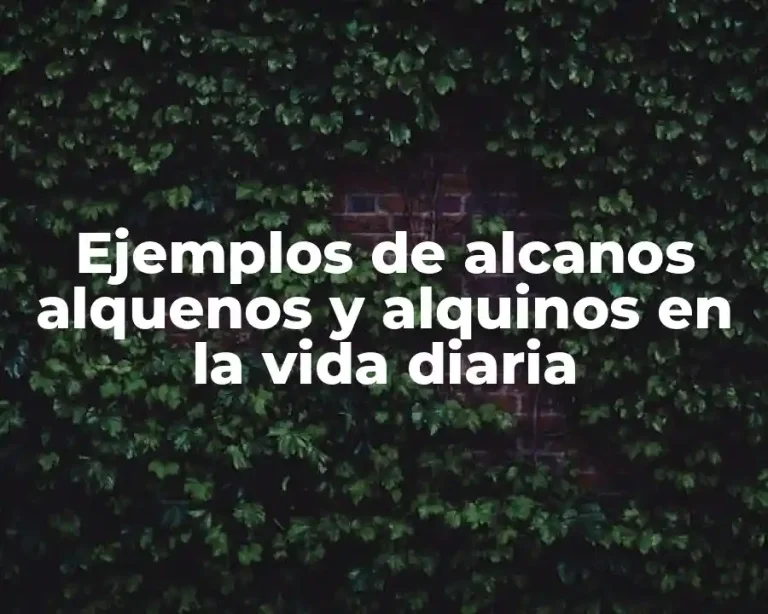 Ejemplos de alcanos alquenos y alquinos en la vida diaria