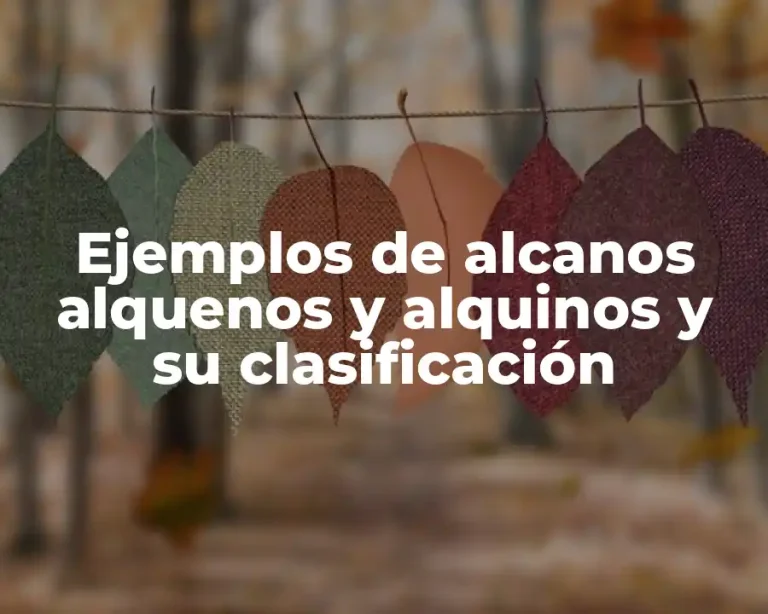 Ejemplos de alcanos alquenos y alquinos y su clasificación