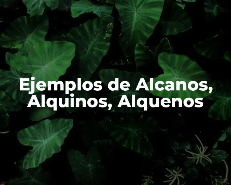 Ejemplos de Alcanos, Alquinos, Alquenos