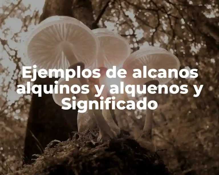 Ejemplos de alcanos alquinos y alquenos y Significado