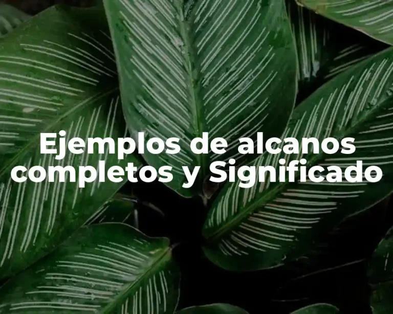 Ejemplos de alcanos completos y Significado