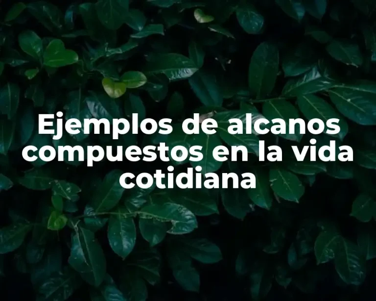 Ejemplos de alcanos compuestos en la vida cotidiana