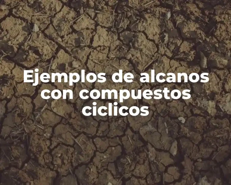 Ejemplos de alcanos con compuestos ciclicos