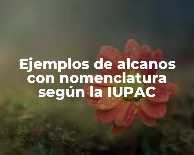Ejemplos de alcanos con nomenclatura según la IUPAC