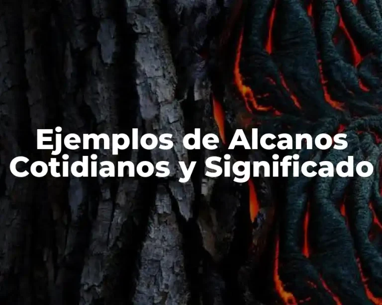 Ejemplos de Alcanos Cotidianos y Significado