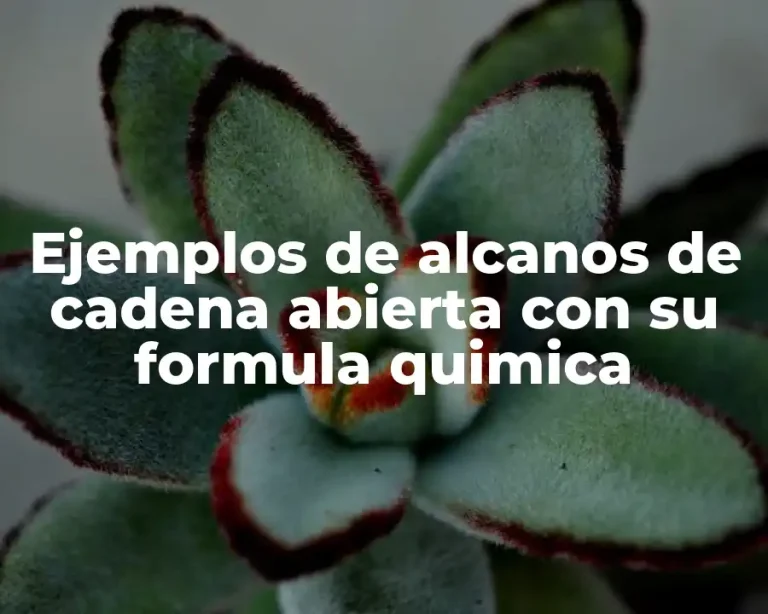 Ejemplos de alcanos de cadena abierta con su formula quimica