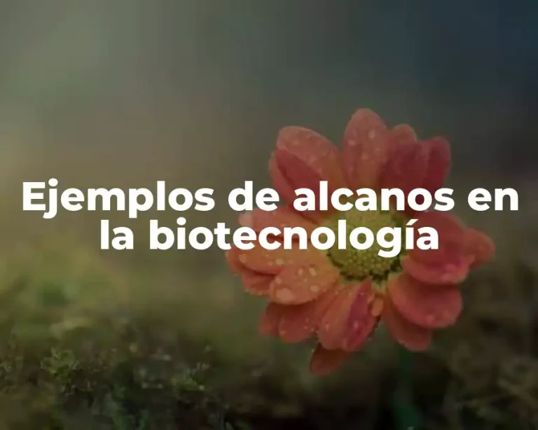 Ejemplos de alcanos en la biotecnología