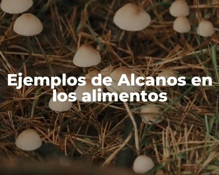 Ejemplos de Alcanos en los alimentos