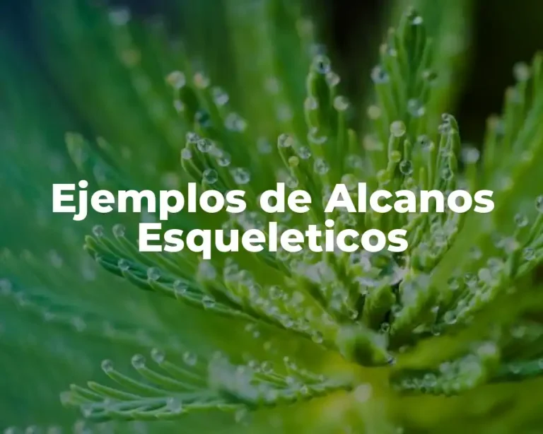 Ejemplos de Alcanos Esqueleticos