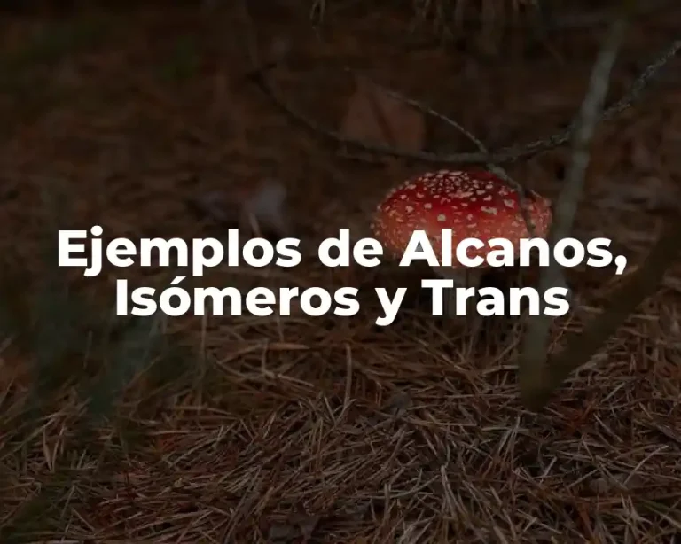 Ejemplos de Alcanos, Isómeros y Trans