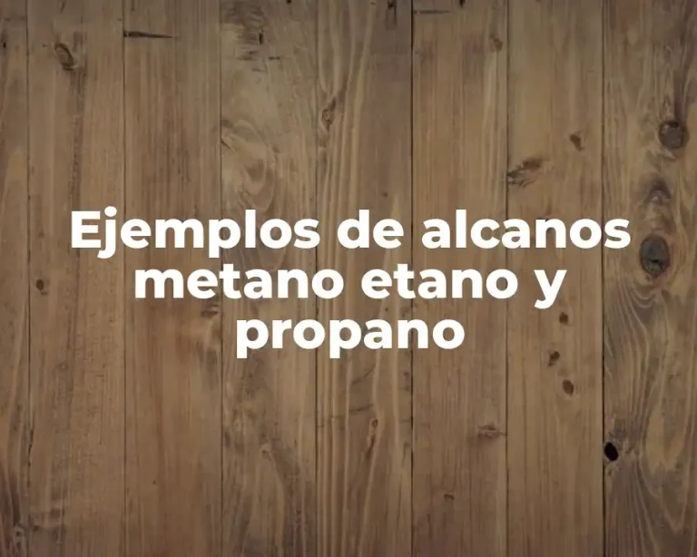 Ejemplos de alcanos metano etano y propano