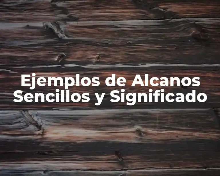 Ejemplos de Alcanos Sencillos y Significado
