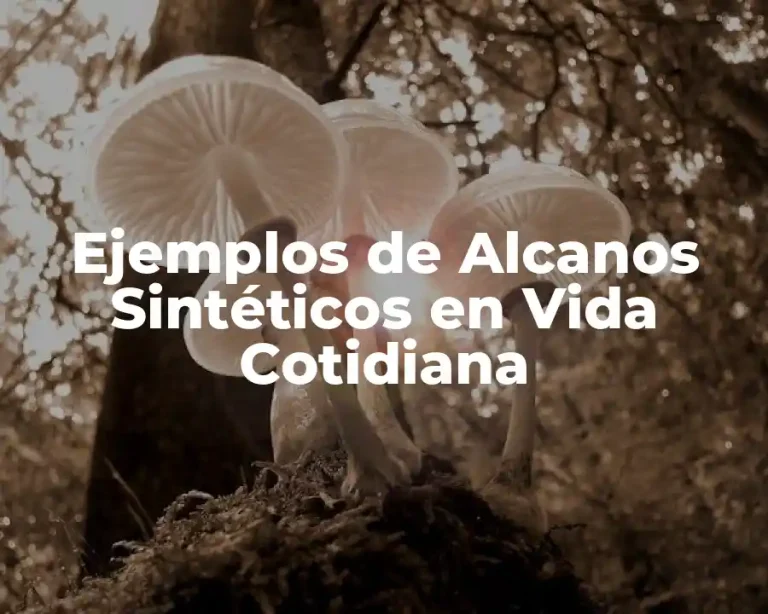 Ejemplos de Alcanos Sintéticos en Vida Cotidiana