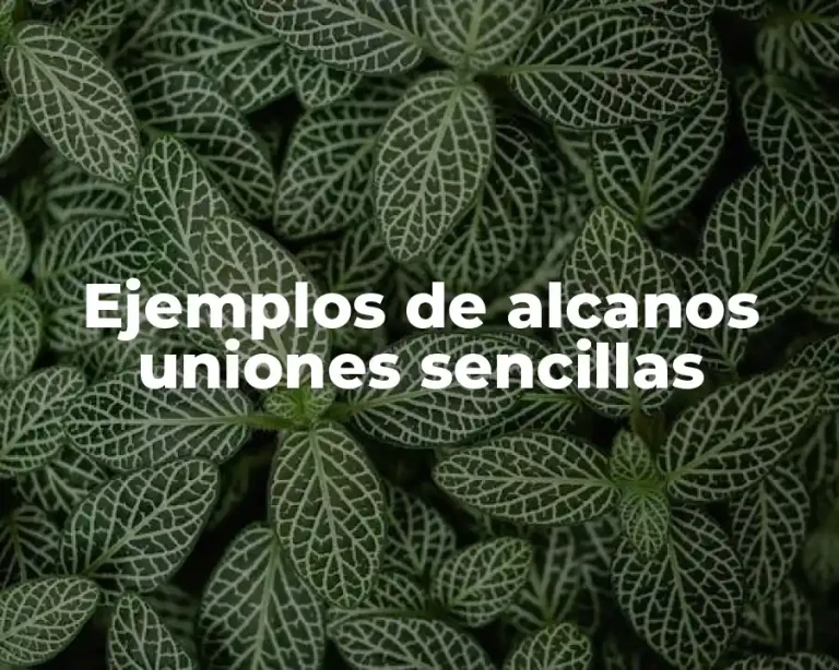 Ejemplos de alcanos uniones sencillas