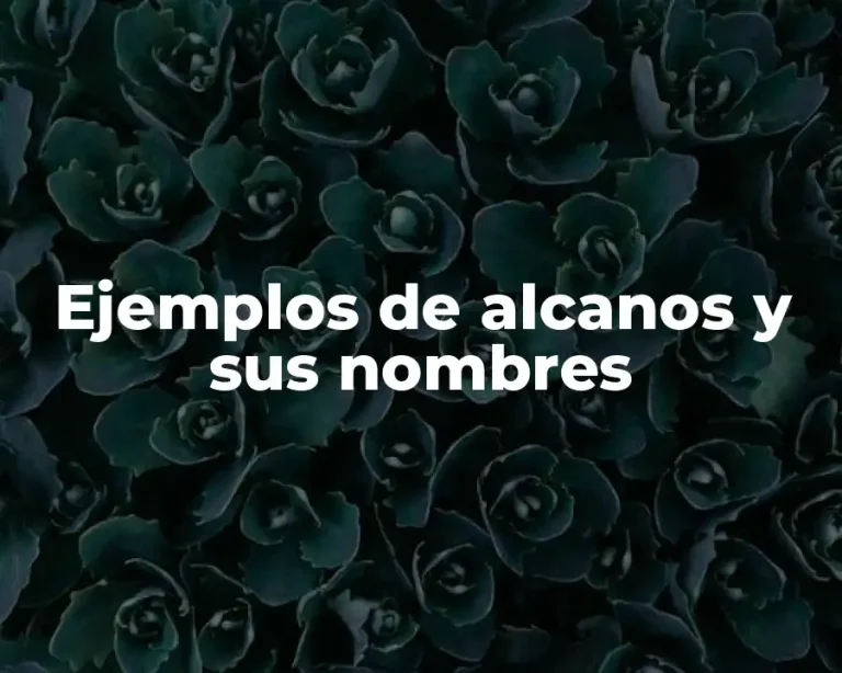 Ejemplos de alcanos y sus nombres