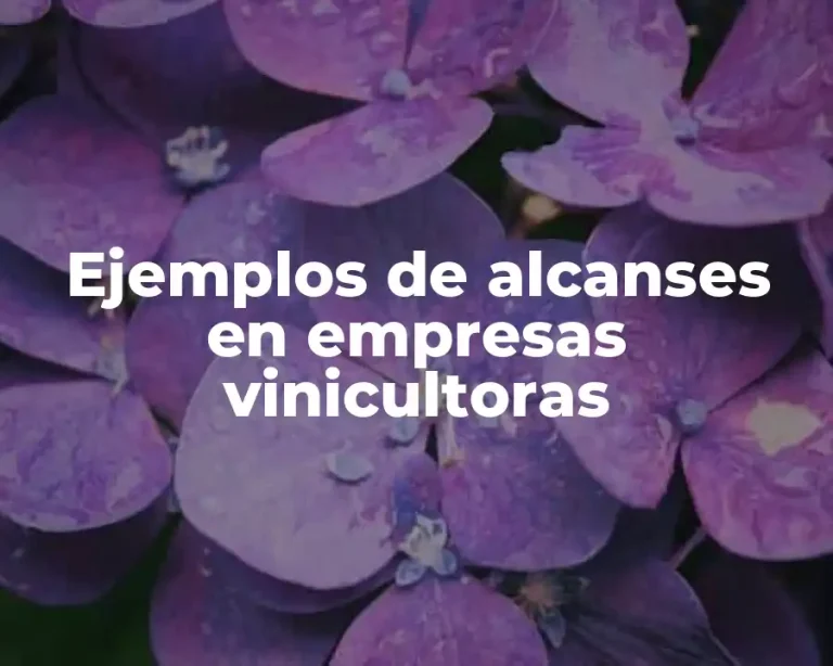 Ejemplos de alcanses en empresas vinicultoras