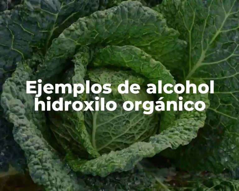 Ejemplos de alcohol hidroxilo orgánico