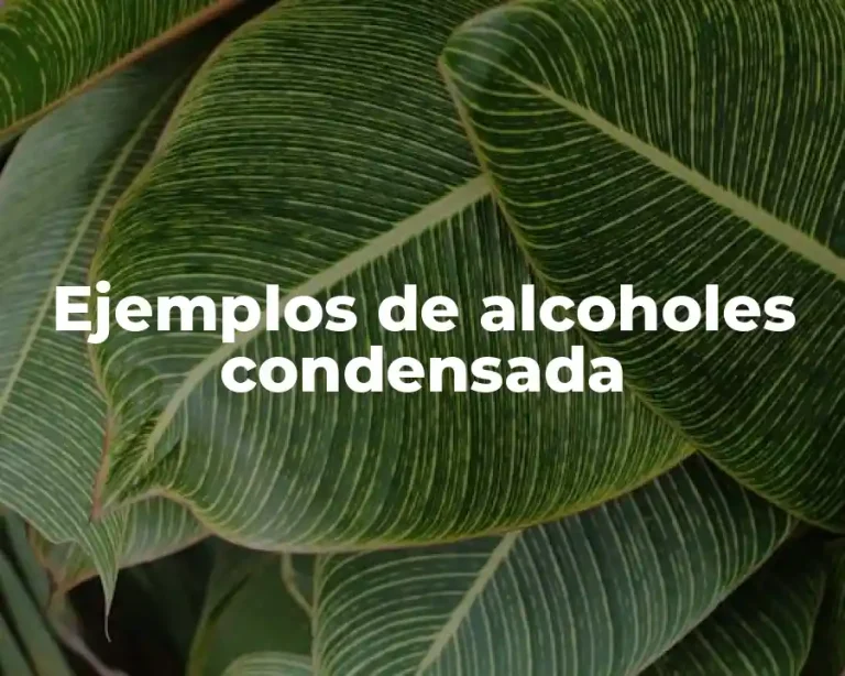 Ejemplos de alcoholes condensada
