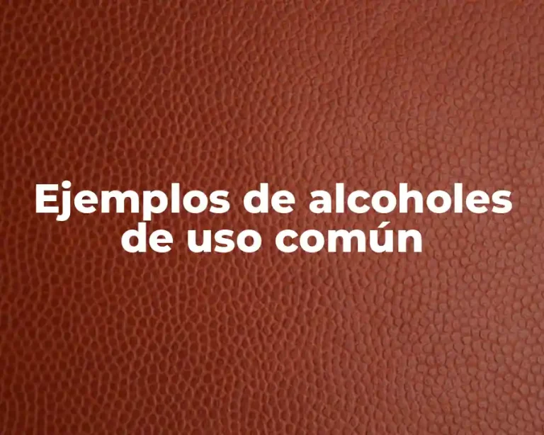 Ejemplos de alcoholes de uso común