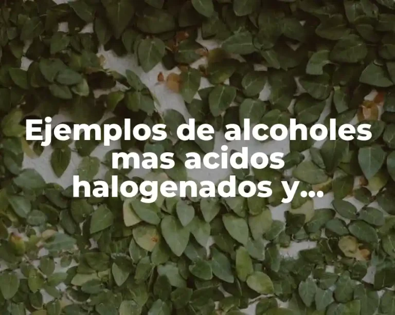 Ejemplos de alcoholes mas acidos halogenados y Significado