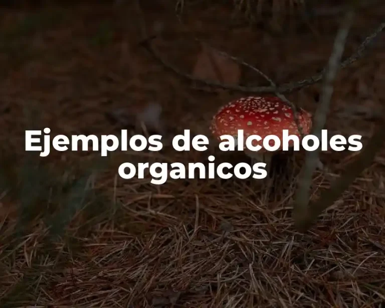 Ejemplos de alcoholes organicos