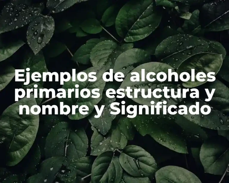 Ejemplos de alcoholes primarios estructura y nombre y Significado