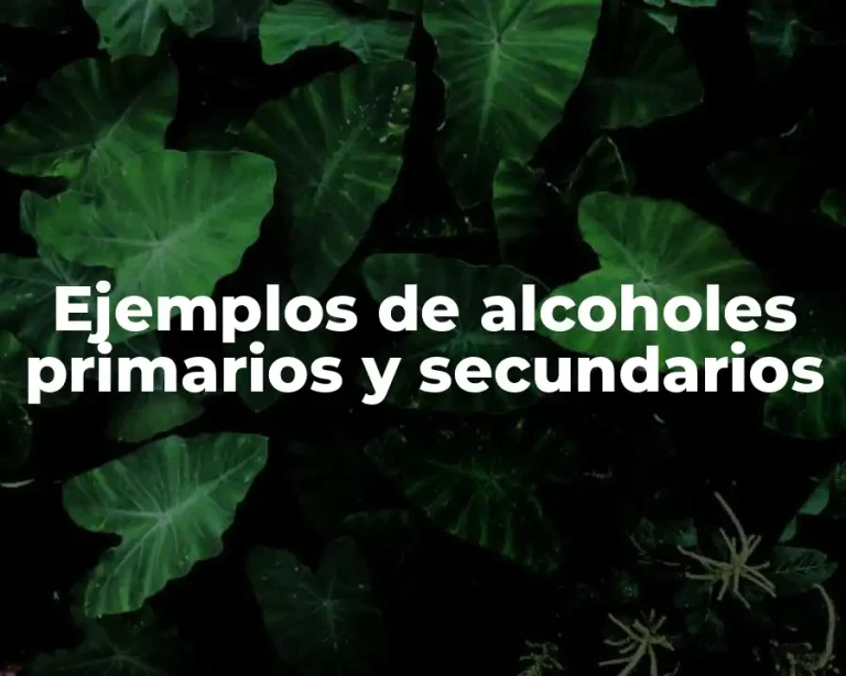 Ejemplos de alcoholes primarios y secundarios